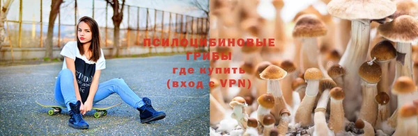 бутик Алексеевка