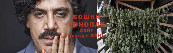гидра Алексин